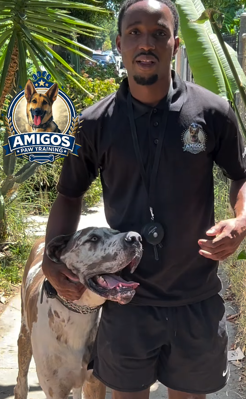 5-Session Good Dog Program