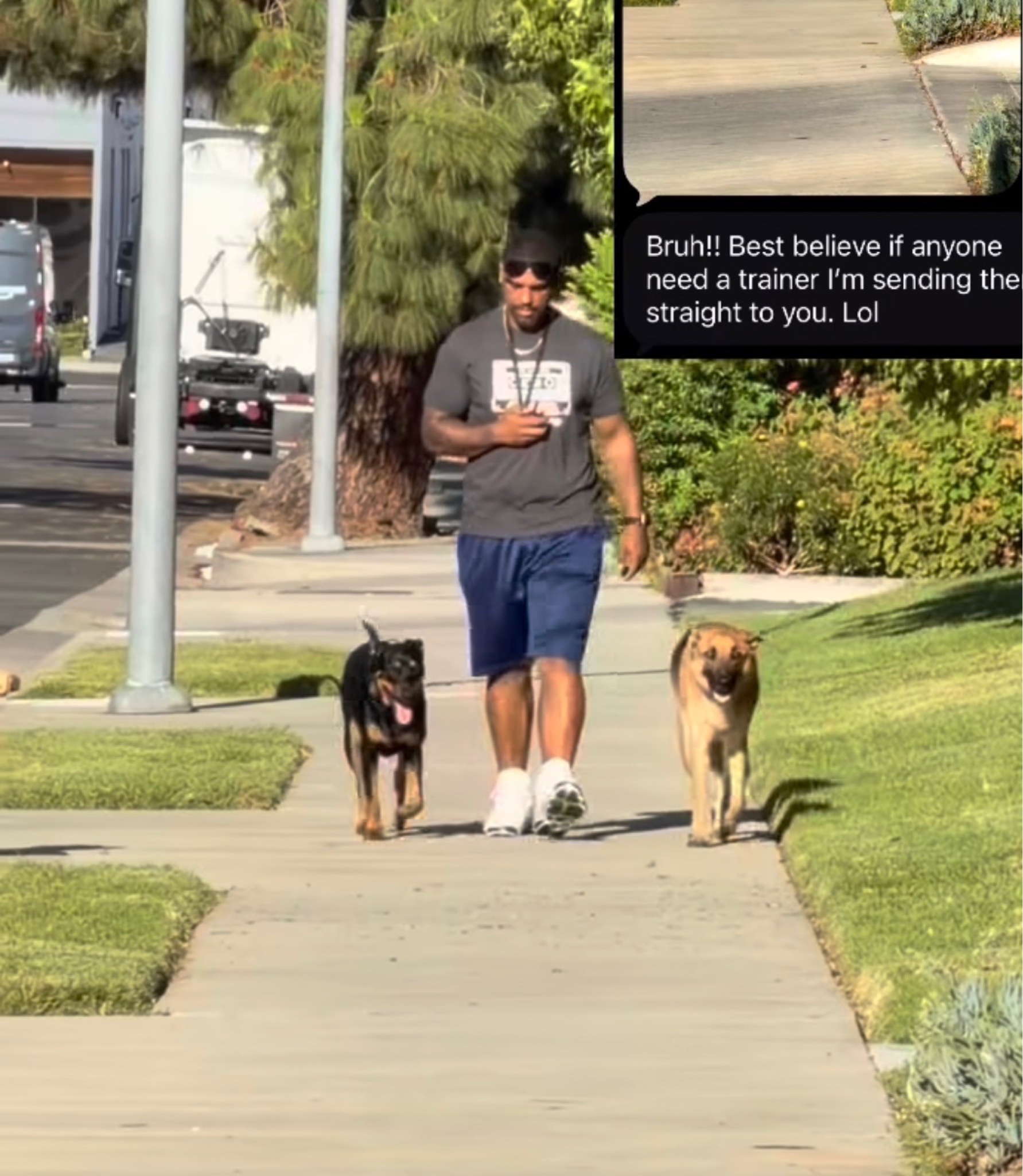 Advanced Obedience Program
